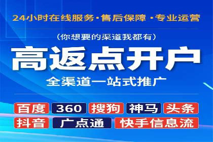百度SEO推广案例解析与效果评估